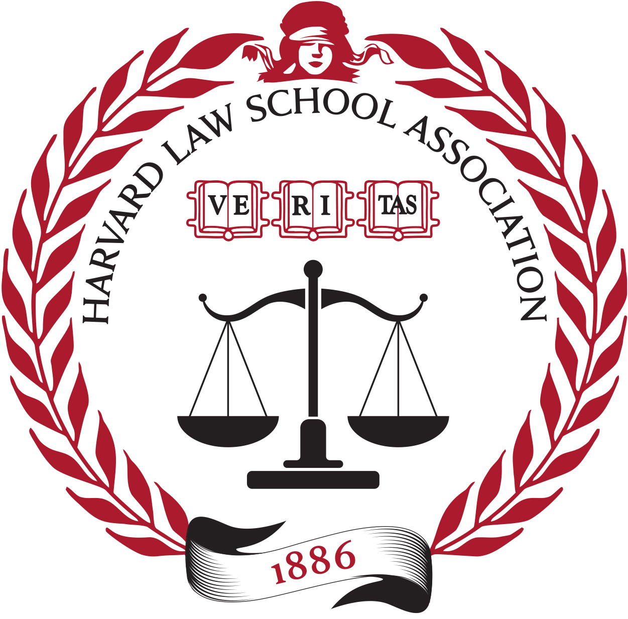 HLSA logo